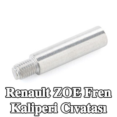 ATE Fren kaliperi cıvatası — Renault Zoe