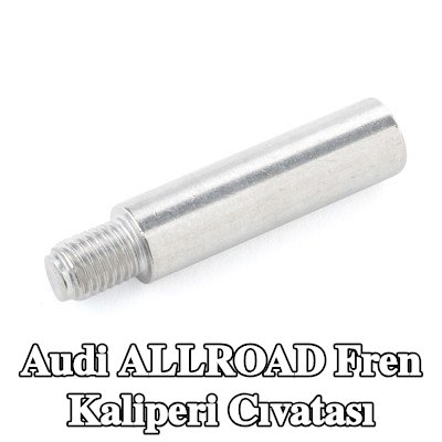 ATE Fren kaliperi cıvatası — Audi Allroad