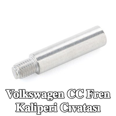 ATE Fren kaliperi cıvatası — Volkswagen Cc