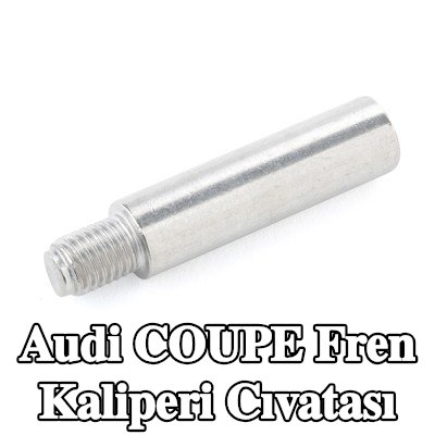 ATE Fren kaliperi cıvatası — Audi Coupe
