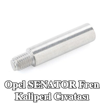 ATE Fren kaliperi cıvatası — Opel Senator
