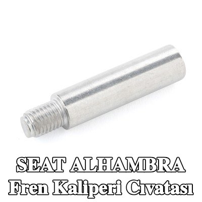 ATE Fren kaliperi cıvatası — SEAT Alhambra
