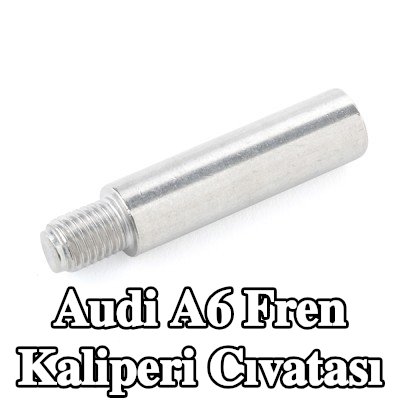 ATE Fren kaliperi cıvatası — 2000 Audi A6