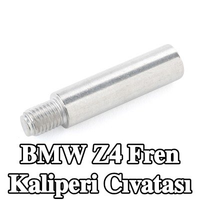 ATE Fren kaliperi cıvatası — BMW Z4