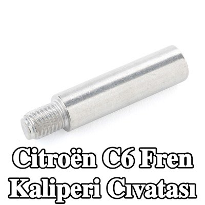 ATE Fren kaliperi cıvatası — Citroën C6