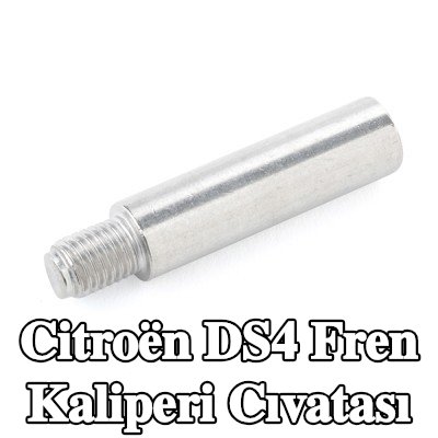 ATE Fren kaliperi cıvatası — Citroën Ds4