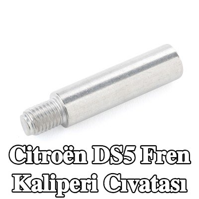 ATE Fren kaliperi cıvatası — Citroën Ds5