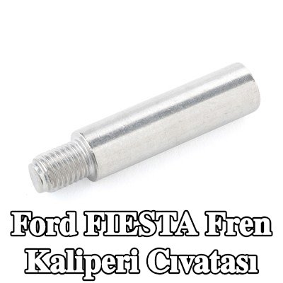 ATE Fren kaliperi cıvatası — 2012 Ford Fiesta