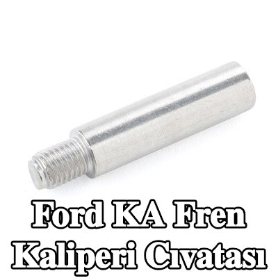 ATE Fren kaliperi cıvatası — Ford Ka