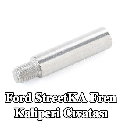 ATE Fren kaliperi cıvatası — Ford StreetKA