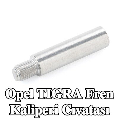ATE Fren kaliperi cıvatası — Opel Tigra