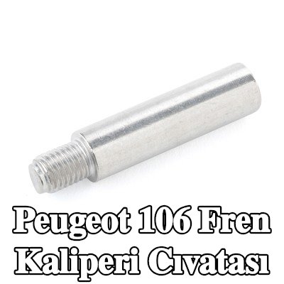 ATE Fren kaliperi cıvatası — Peugeot 106