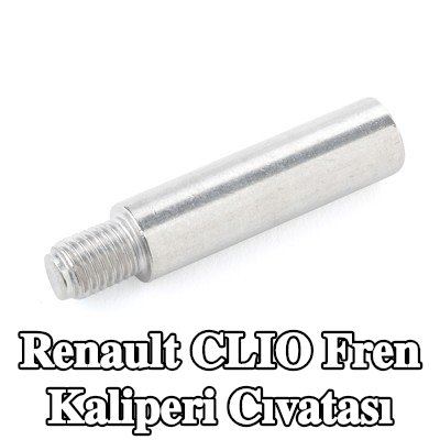 ATE Fren kaliperi cıvatası — Renault Clio
