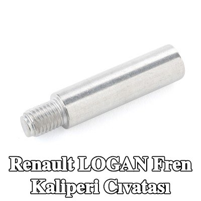 ATE Fren kaliperi cıvatası — Renault Logan