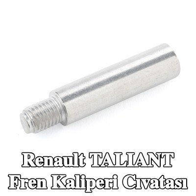 ATE Fren kaliperi cıvatası — Renault Taliant