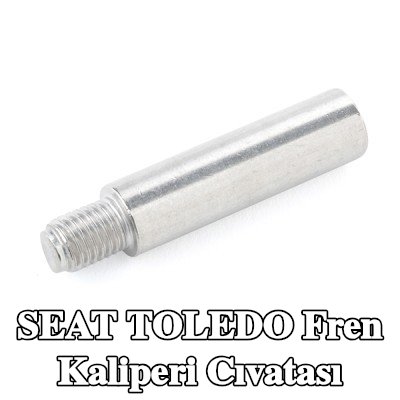 ATE Fren kaliperi cıvatası — SEAT Toledo