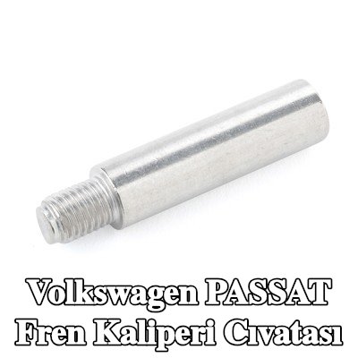 ATE Fren kaliperi cıvatası — Volkswagen Passat
