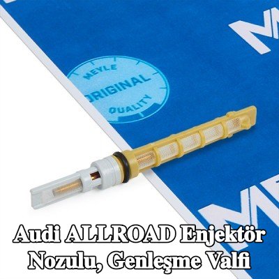 MAHLE Enjektör nozulu, genleşme valfi — Audi Allroad