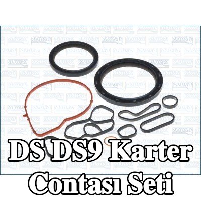 AJUSA Karter contası seti — 2020 DS Ds9