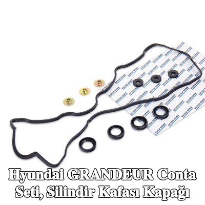 REINZ Conta seti, silindir kafası kapağı — 2011 Hyundai Grandeur