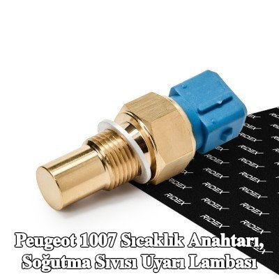 RIDEX Sıcaklık Anahtarı, soğutma suyu uyarı lambası M14x1, 25, 120°C — Peugeot 1007
