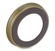 AIC ABS sensör halkası Arka Aks her iki taraf, Magnetic — Ford Focus (2)