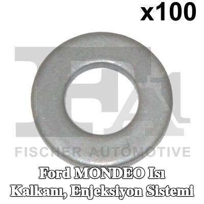 FA1 Isı Kalkanı, enjeksiyon sistemi — 2001 Ford Mondeo
