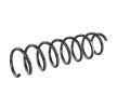 SACHS Helezon yay — 2012 BMW 5 Series (2)