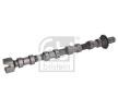 FEBI BILSTEIN Egzoz tarafı eksantrik mili — Citroën Dispatch (4)