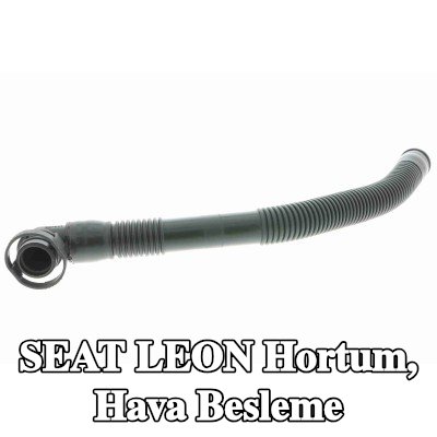 VAICO Hortum, hava beslemesi İkincil Hava Pompası, Orijinal VAICO Kalitesi — 2008 SEAT Leon