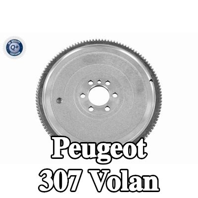 VAICO Volan — 2002 Peugeot 307