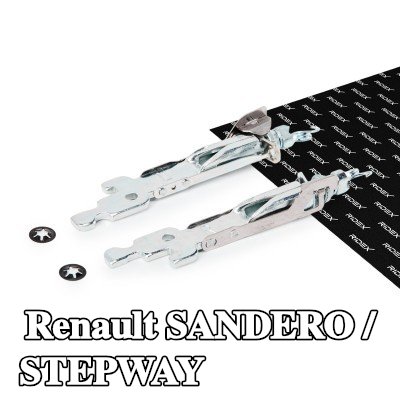 RIDEX مُعدِّل حذاء الفرامل — Renault Sandero / Stepway