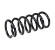 SACHS Helezon yay — Chevrolet Captiva (2)
