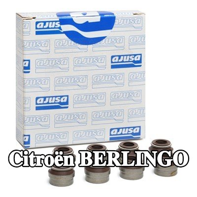 AJUSA مجموعة سدادات صمامات الصمامات — 2000 Citroën Berlingo
