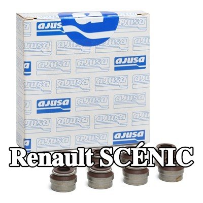 AJUSA مجموعة سدادات صمامات الصمامات — 2000 Renault Scénic