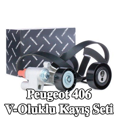 RIDEX V-Oluklu Kayış Seti — 1995 Peugeot 406