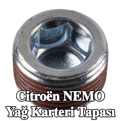 FEBI BILSTEIN Conta halkası olmayan yağ karteri tapası — Citroën Nemo