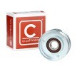 CAFFARO Saptırma / kılavuz kasnağı, V-ribbed belt Outer Diameter: 70mm — 1990 Opel Corsa (1)