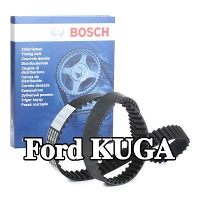 BOSCH عدد أسنان حزام التوقيت: 116, 1105mm — 2012 Ford Kuga