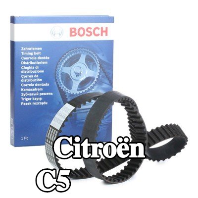 BOSCH عدد أسنان حزام التوقيت: 116, 1105mm — Citroën C5