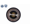 ACKOJA Termostat 82°C, contalı/sızdırmaz — Hyundai Genesis (5)
