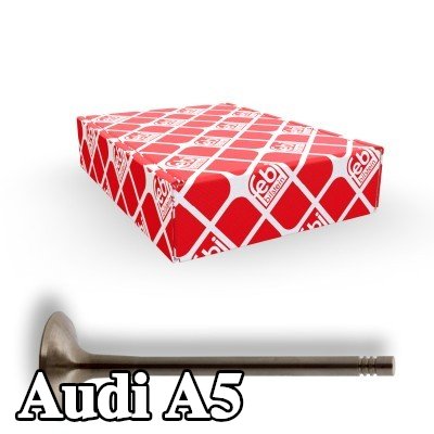 FEBI BILSTEIN صمام السحب — 2007 Audi A5