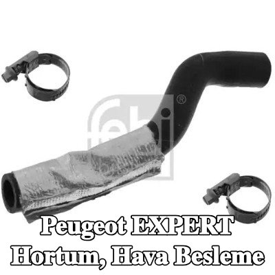 FEBI BILSTEIN Hortum, hava besleme — Peugeot Expert