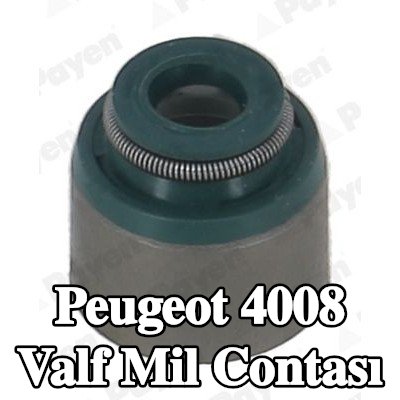 PAYEN Valf mil contası — Peugeot 4008