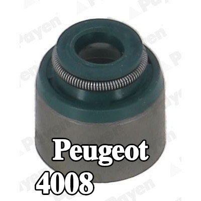 PAYEN حشية صمام — Peugeot 4008