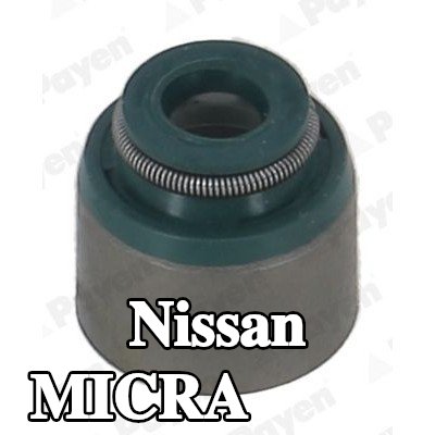 PAYEN حشية صمام — 2012 Nissan Micra