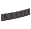 BOSCH Serpantin kayışı 1513mm, Number of ribs: 6 — Kia Magentis (3)