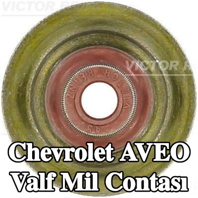 REINZ Valf mil contası — 2003 Chevrolet Aveo