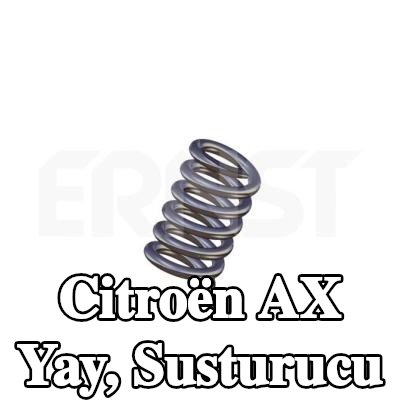 ERNST Yay, susturucu — Citroën Ax