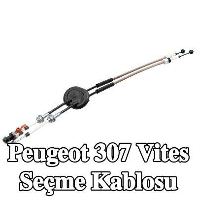 FEBI BILSTEIN Vites seçme kablosu — 2002 Peugeot 307